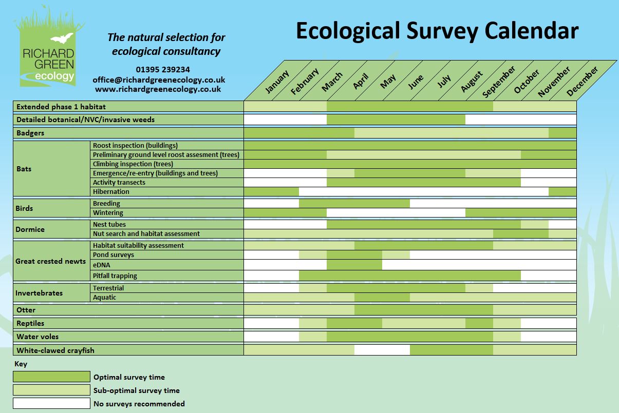 Ecological Surveys And Monitoring